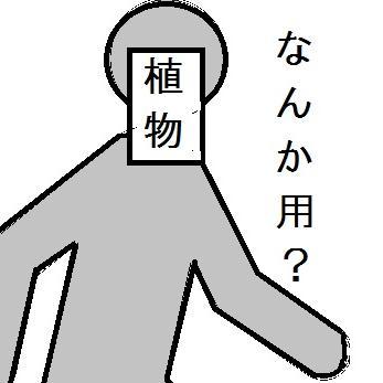惰眠と哲学を傍らに小説を書いたりゲームを嗜んだりするすべてが欠落した人/樟