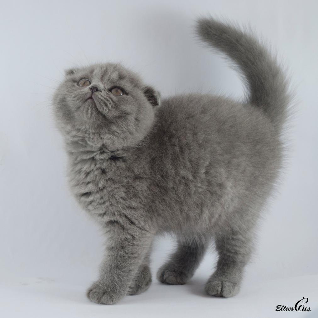 Utopik025's profile picture. 