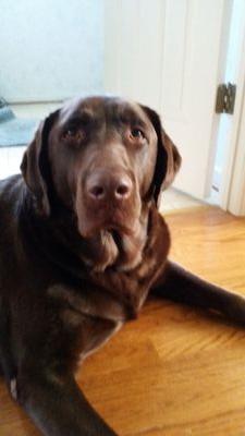 patrickztweetz's profile picture. 