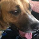 Owen Scully - @scully_owen - Twitter