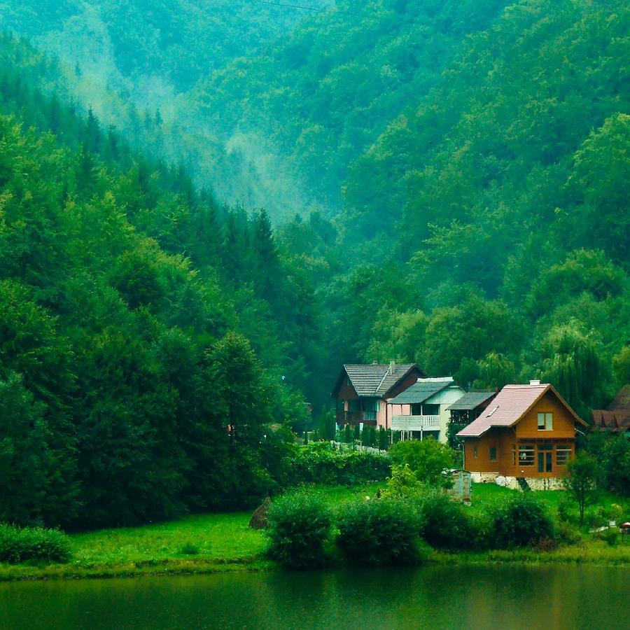 CheeseMg's profile picture. Волк дул, дул...