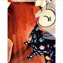 ★Alexis★ (@023_alexis) Twitter