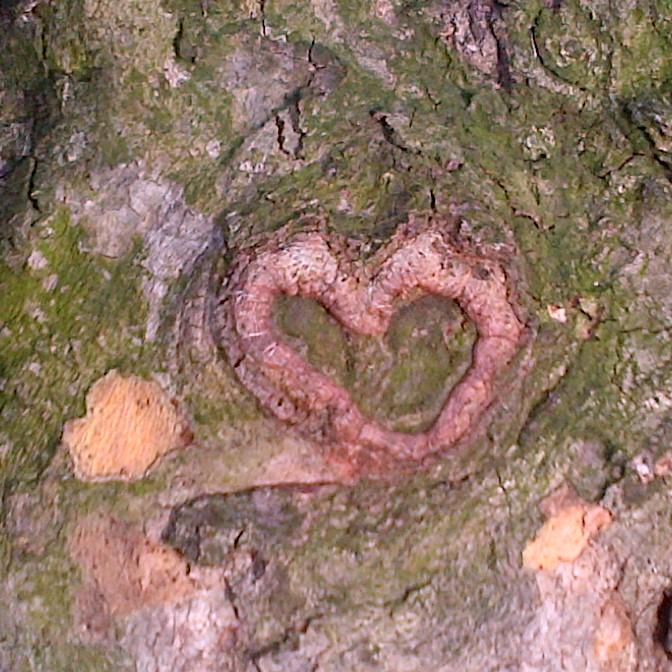 rkneebs_20528's profile picture. 