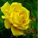 هادي عادل حرب (@5BIxhl78JsOWBsD) Twitter