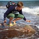 William Corbett - @willcorbeau - Twitter