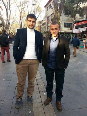 sarı