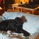 Frank Whitlock - @frankwhilock88 - Twitter