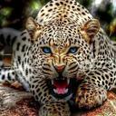 Rosendo Ojeda - @ojedasantes - Twitter