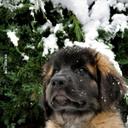 Ahmad Reda - @a7madreda13 - Twitter