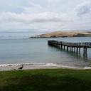 Shawn Constable - @NZLkuhrupt - Twitter