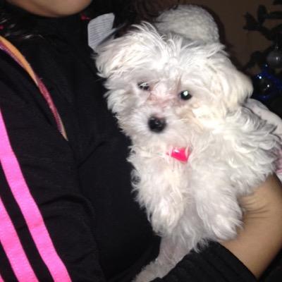 odalysmolina's profile picture. 