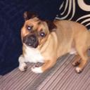 Tom Weeks - @TomWeeks12 - Twitter