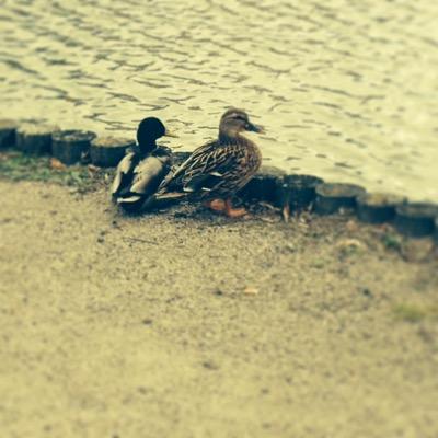 MomoNeymar11's profile picture. 