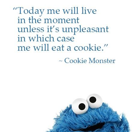 swiftyspeaks's profile picture. Teacher, listener, life long learner of the classroom and the game of life, Healthy Active Kids advocate, Notre Dame Fighting Irish Football fan.