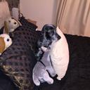 Suzanne Lynch - @suzlynch31 - Twitter