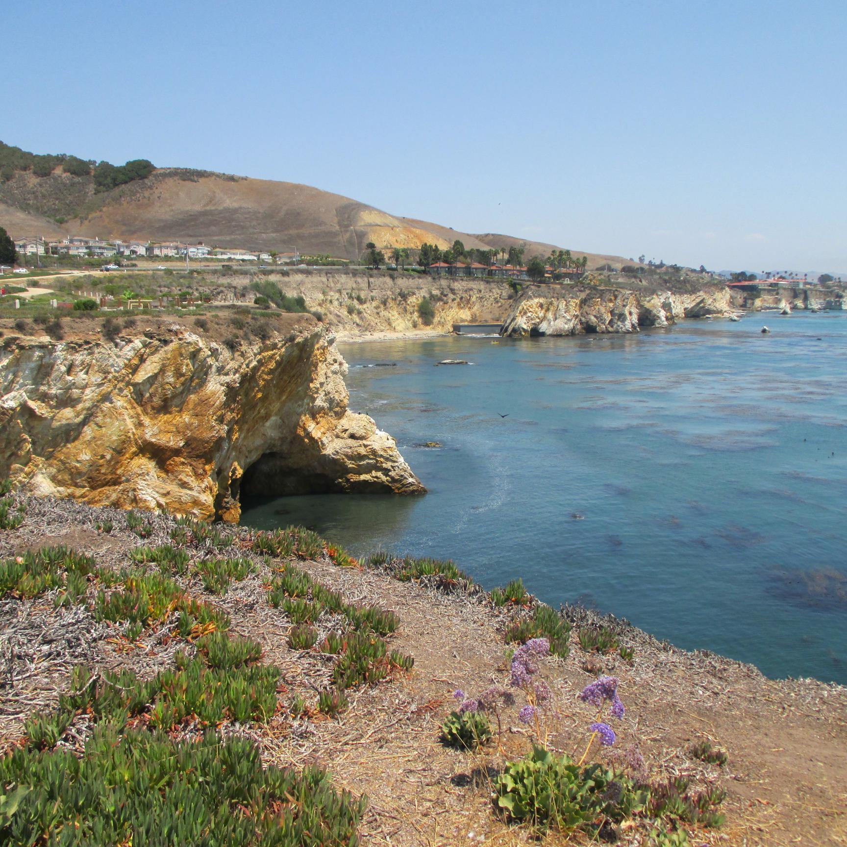 Suzy1149's profile picture. 