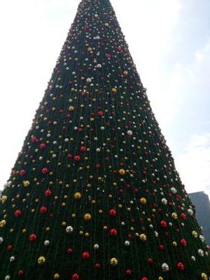 nxdh___'s profile picture. 