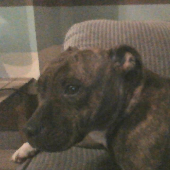 MessyJessy2008's profile picture. 