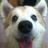 Buster_Hombre's profile image
