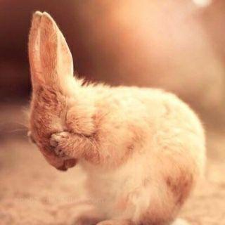 توقع الغير متوقع..♡