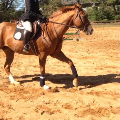 college equestrian • jumper • dressage • showing is life • zone 5 • theatre • girls school probs •