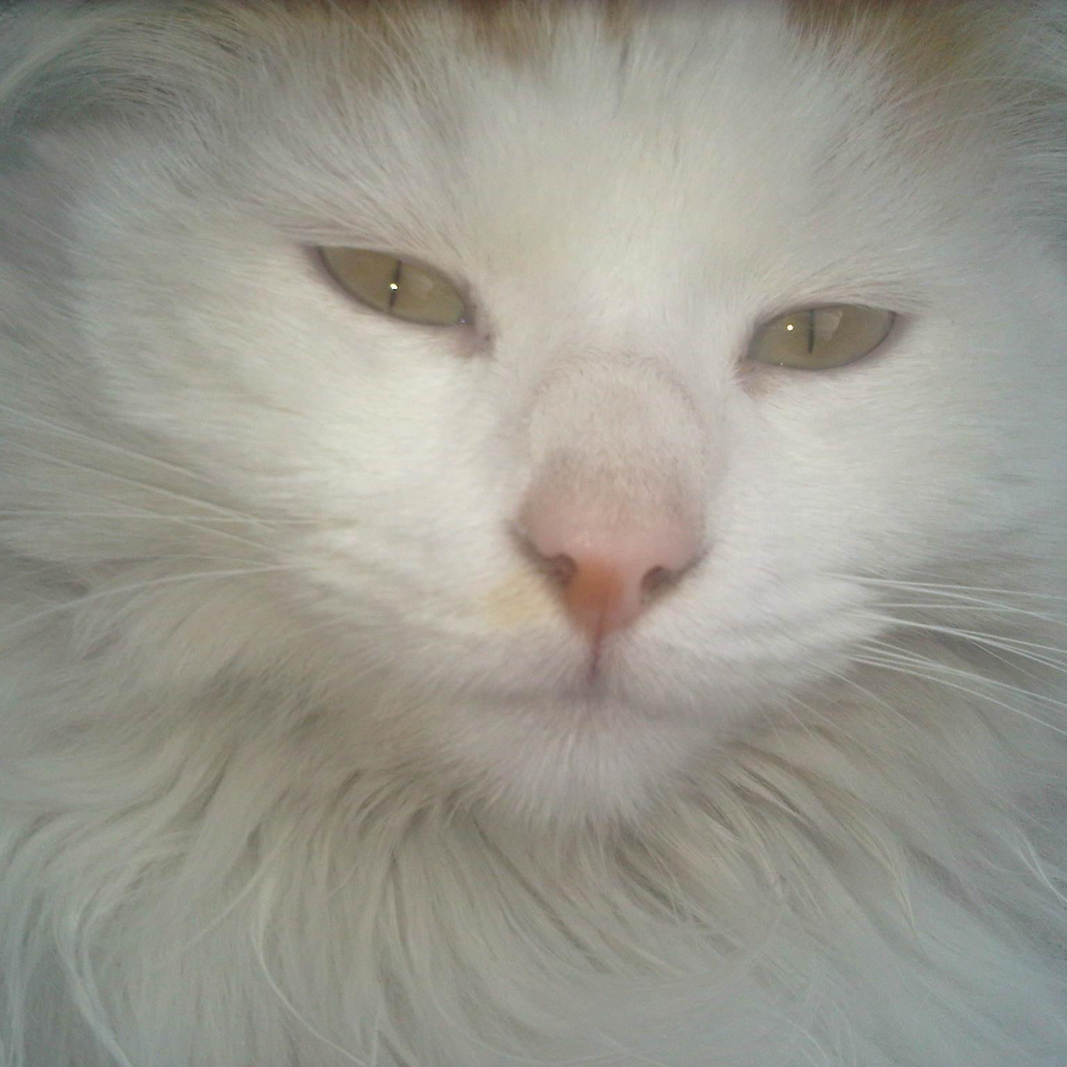 yogytina's profile picture. 