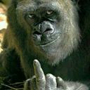 Oliver Steiner - @OliverSteiner3 - Twitter