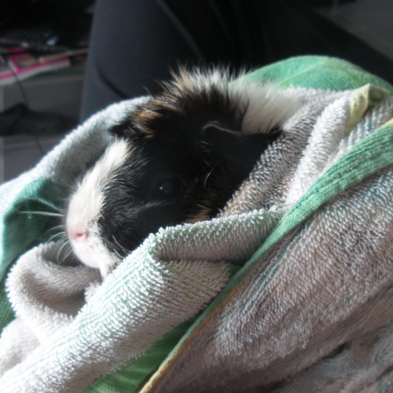 Fanny_60's profile picture. 