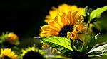 interested in positive spiritual motivations