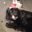 Chuck Marks - @chasman609 - Twitter