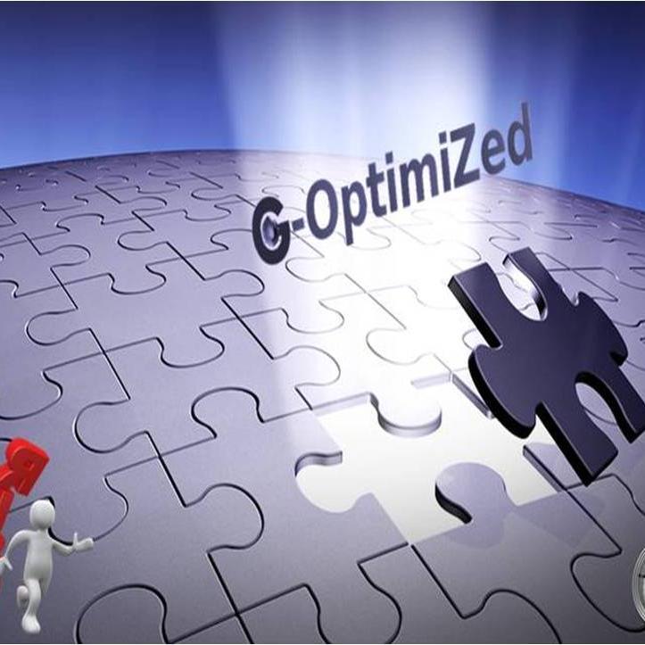 Governance Optimized is a Management Consulting firm that helps organizations achieve a highly functional Control Environment through Risk Management Consulting