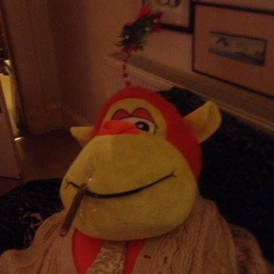 GeoffOrange's profile picture. Simian comedy managment

Geoff Orange Monkey