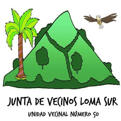 Somos la Unidad Vecinal #50 Viña DelMar. Afiliados a la Unión Comunal y creyendo en una ciudad más justa. juntadevecinoslomasur@gmail.com