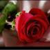 *beero* (@42356cd875be4ab) Twitter profile photo