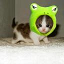 Madison Barrera - @b7e86cf2832548f - Twitter