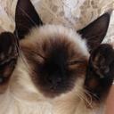 Gavin Stroud - @StroudNZ - Twitter