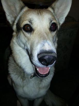 sandkng2004's profile picture. 