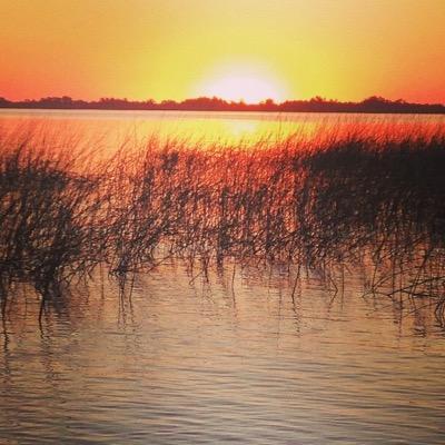 cunarf's profile picture. 