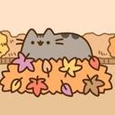 Jordan Rawls - @JordanTinyRawls - Twitter