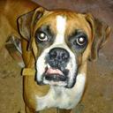 Kenneth Silvera - @128462a5215644e - Twitter