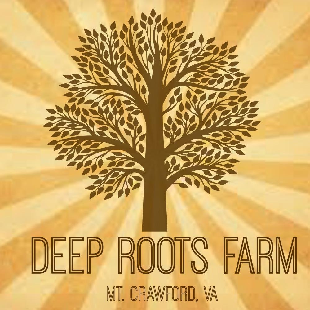 deeprootsfarmva's profile picture. Follow our journey into the world of sustainable farming over the next year.