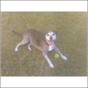 Steven Friedlander - @sfreed2323 - Twitter