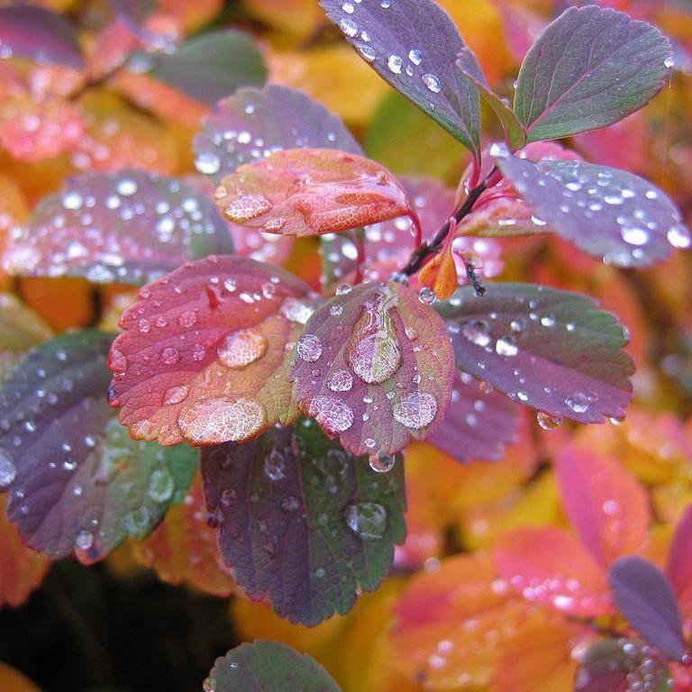 nethaji_siva's profile picture. 