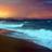 FireflyShoreRP's profile image