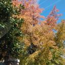 Tamara Short - @e1a64da5dea0436 - Twitter