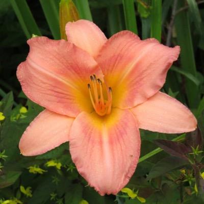 maquillajejose's profile picture. vive y deja vivir!