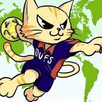 阪大外語ハンドボール部 (@oufs_hand) Twitter profile photo