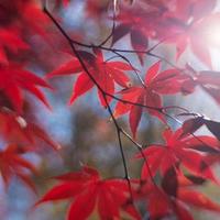 rai (@rainbowrai122) 's Twitter Profile