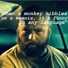 wisconsinsucks's profile picture. If u need a clan then tweet or DM me!