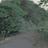 hike10da1's profile image